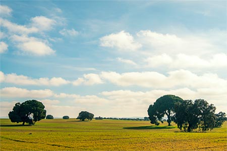 Ofertas de Extremadura